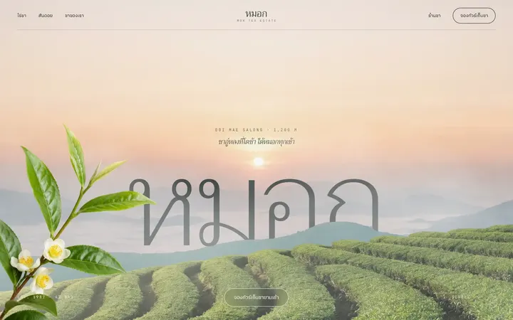 ตัวอย่างเว็บธีมหมอก